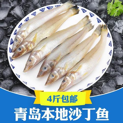 沙丁鱼青岛海鲜4斤16-18条/斤整条海鱼新鲜冷冻水产尖梭鱼沙尖鱼
