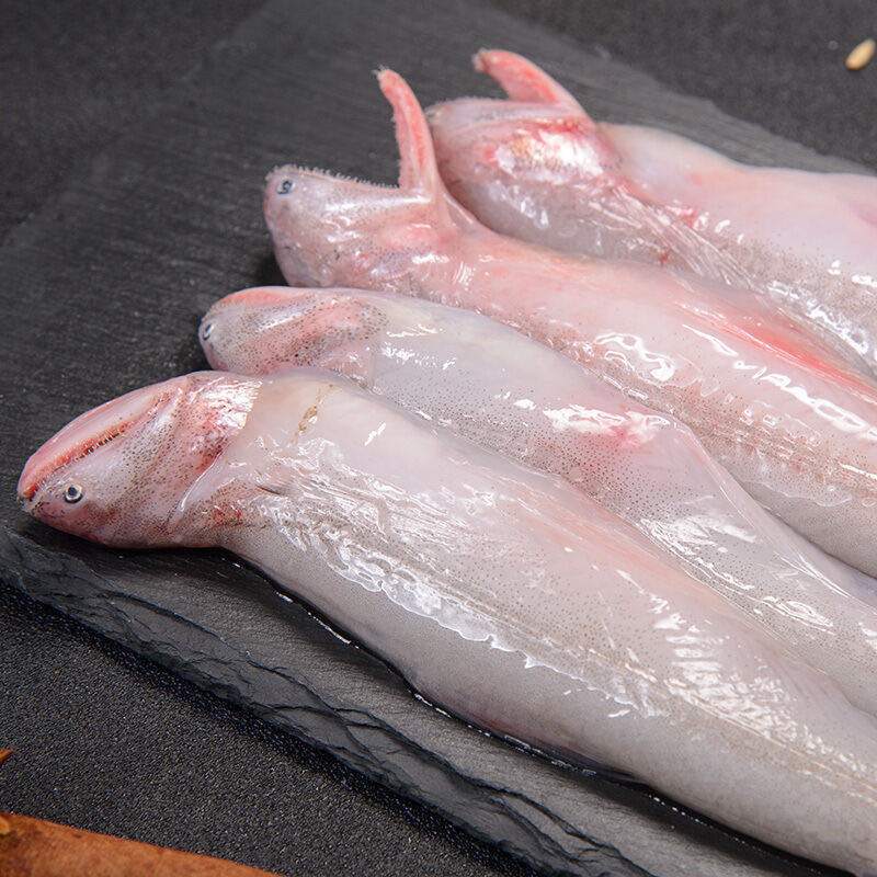 豆腐鱼虾潺龙海小白龙连云港码头新鲜直发三斤起13元一斤